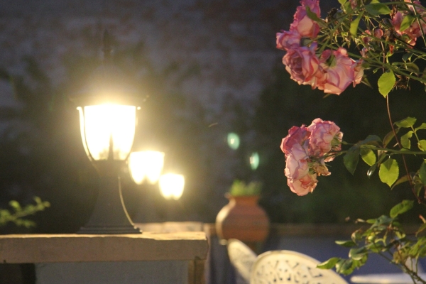 Hotel No. 31 Bed & Breakfast Im Rosengarten